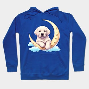 Lunar Lab: Adventures Beyond, Dog Lover and Dog Owner Hoodie